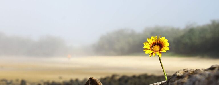 God’s Answers for Negativity